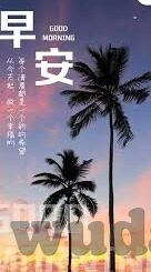 果冻传媒潘-潘的果冻传媒，创意与创新的交融