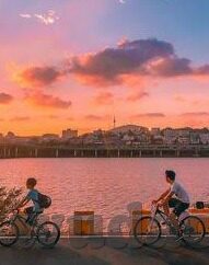 果冻游艇传媒-探索果冻游艇传媒，创意与娱乐的融合新篇章