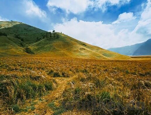麻豆短视频app豆豆日记-麻豆短视频app —— 豆豆日记的精彩世界