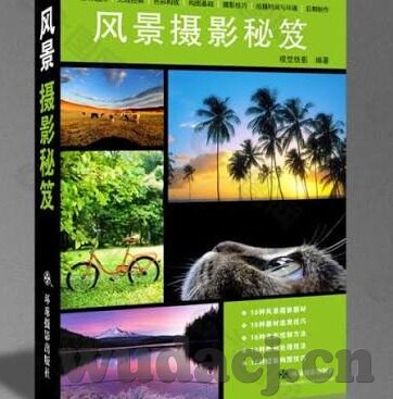 麻豆视频哪里看-如何在便捷的平台上寻找麻豆视频资源